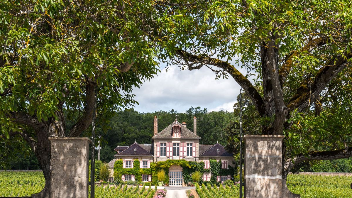 Puligny-Montrachet Le Trézin | Ardhuy